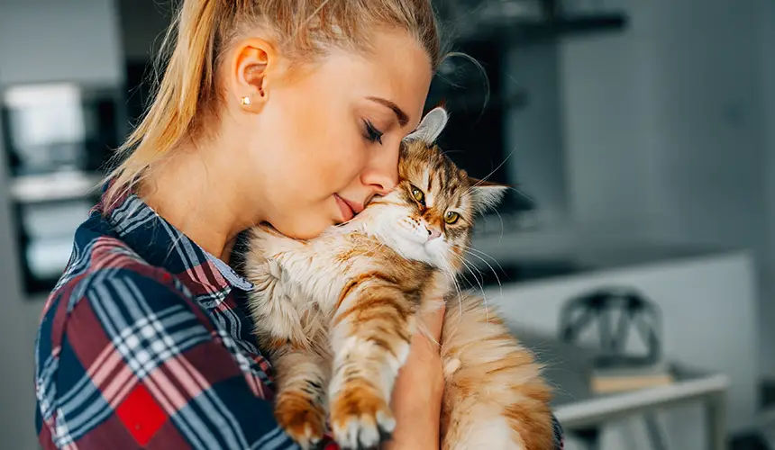 Futter Für Katzen